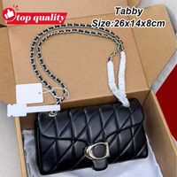 Tabby-26cm-3