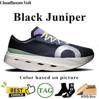 116 Black Juniper