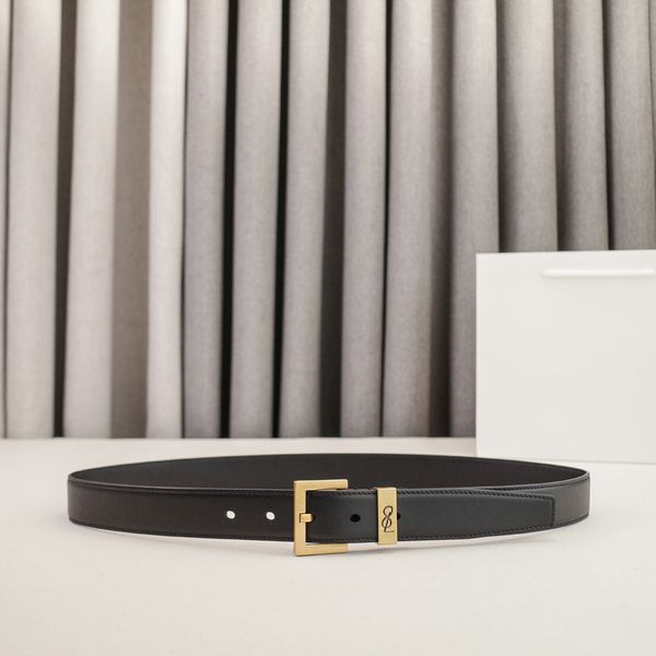 Womens Designer Belt Genuine Leather Belts for Women 2.0/3.0cm Width Leisure Needle Buckle Models Optional Lady Waistband Luxury Waist Girdle 90-115cm Length - Fashion Accessories - streetova